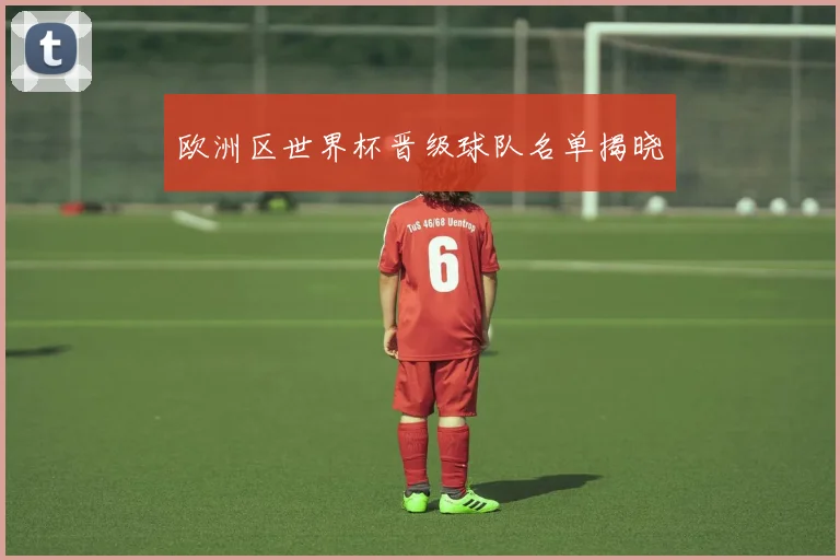 欧洲区世界杯晋级球队名单揭晓