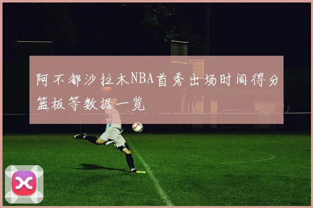 阿不都沙拉木NBA首秀出场时间得分篮板等数据一览
