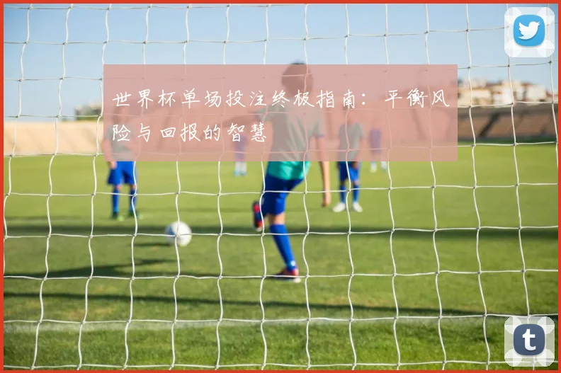 世界杯单场投注终极指南:平衡风险与回报的智慧