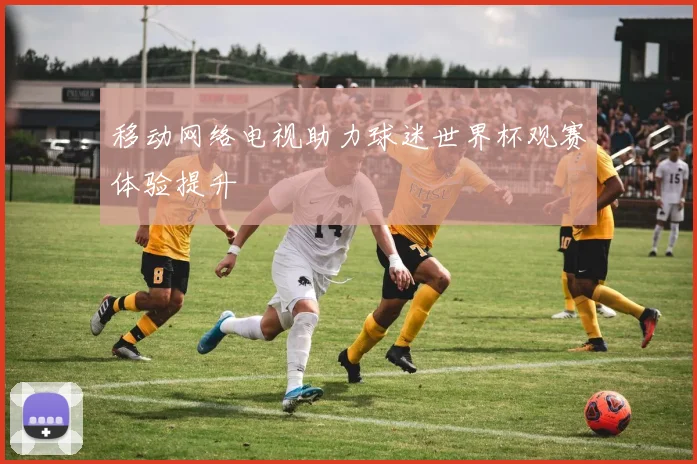 移动网络电视助力球迷世界杯观赛体验提升