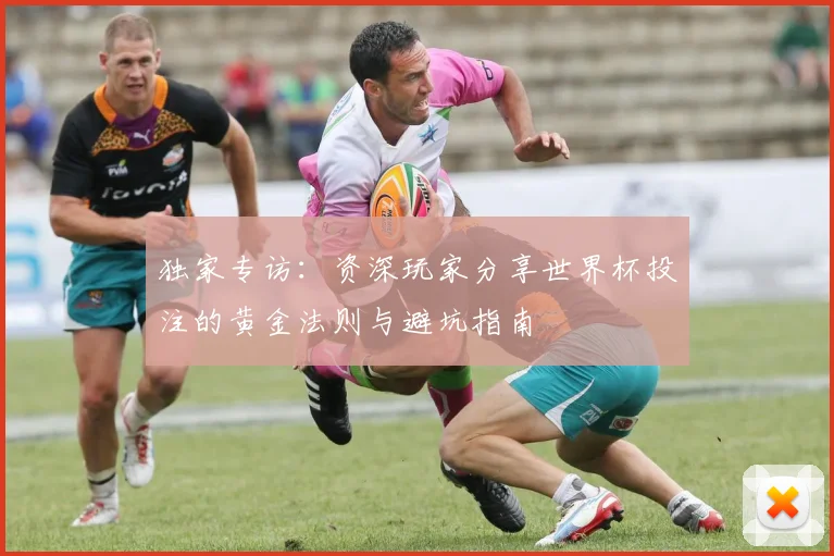 独家专访：资深玩家分享世界杯投注的黄金法则与避坑指南