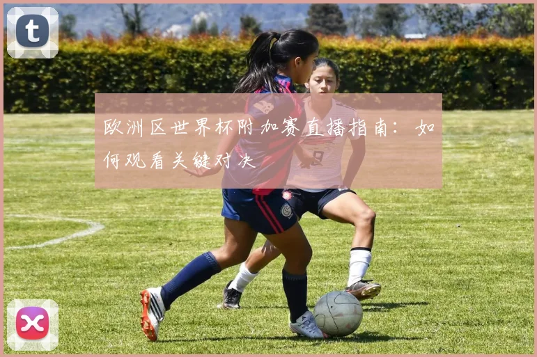 欧洲区世界杯附加赛直播指南：如何观看关键对决