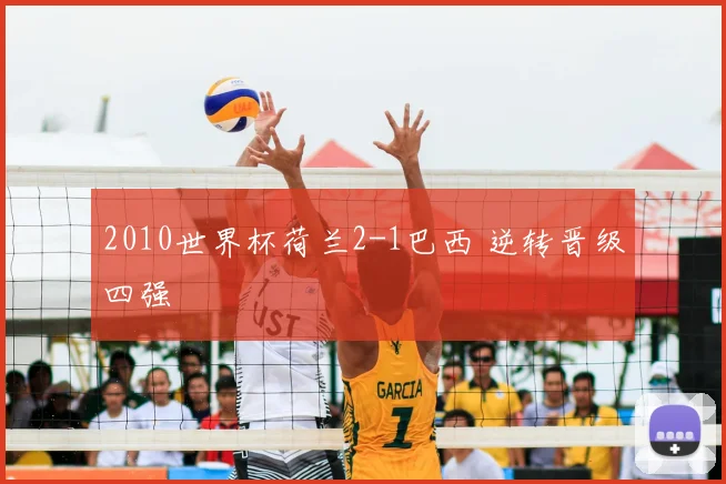 2010世界杯荷兰2-1巴西 逆转晋级四强