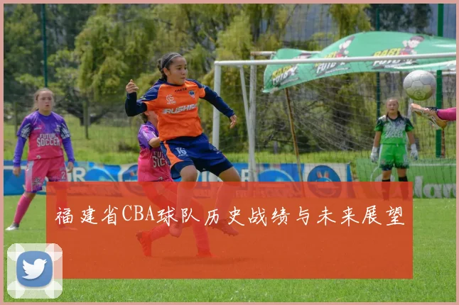 福建省CBA球队历史战绩与未来展望