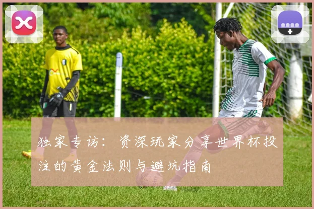 独家专访：资深玩家分享世界杯投注的黄金法则与避坑指南