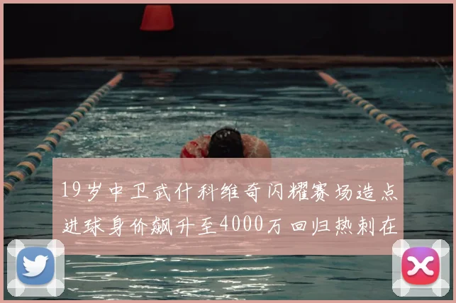 19岁中卫武什科维奇闪耀赛场造点进球身价飙升至4000万回归热刺在即