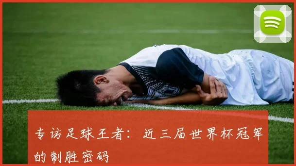 专访足球王者：近三届世界杯冠军的制胜密码